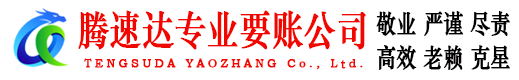 丰县腾速达清债公司